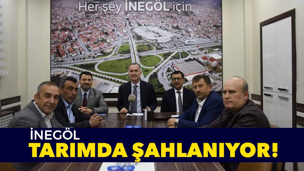 İnegöl Tarımda Şahlanıyor