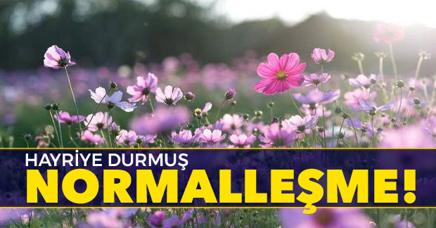 NORMALLEŞME
