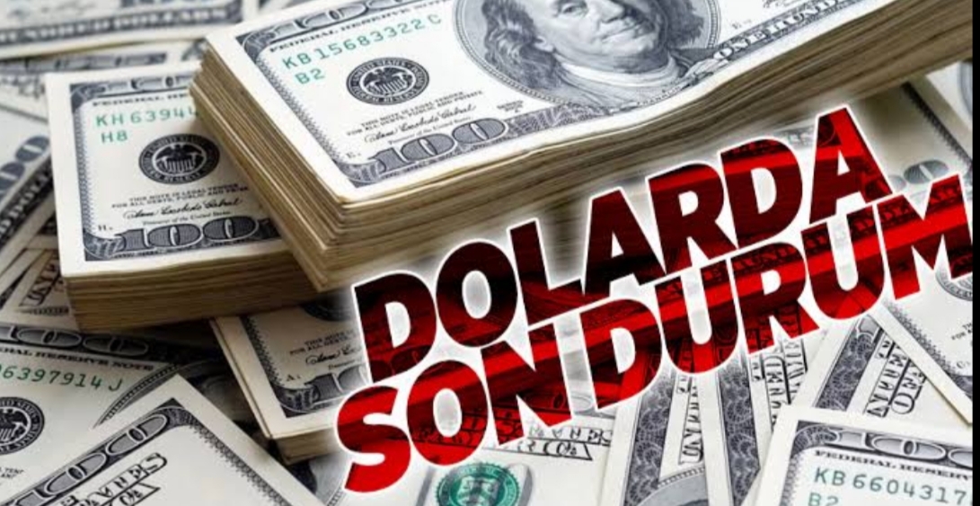 Dolar 7 tl