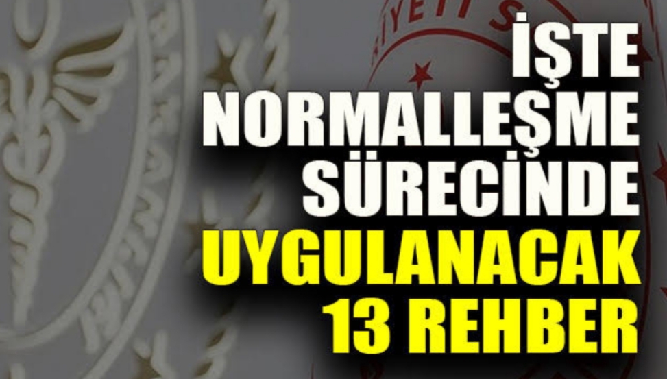 Sağlık Bakanlığı normalleşme rehberi yayınladı