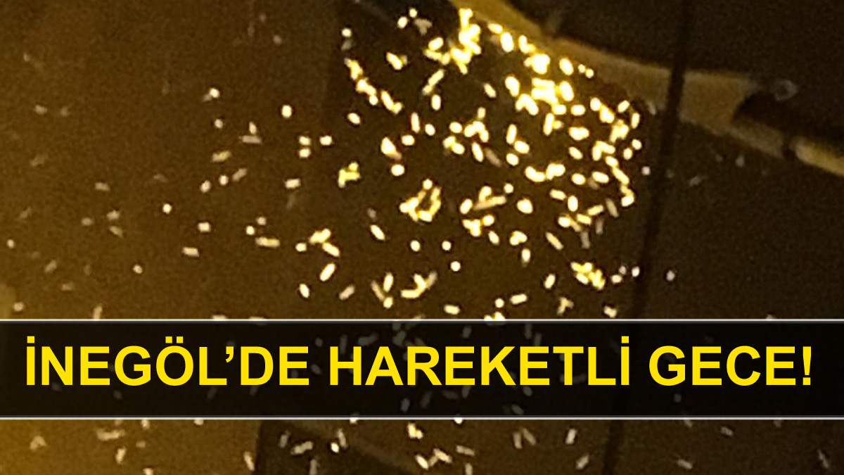İnegöl’de sinek istilası