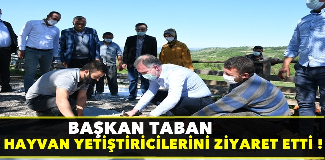 Başkan Taban Hayvan Yetiştiricilerini Ziyaret Etti