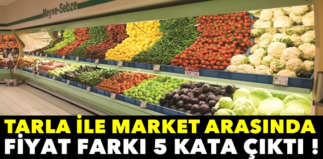 Fiyat farkı uçtu gitti !