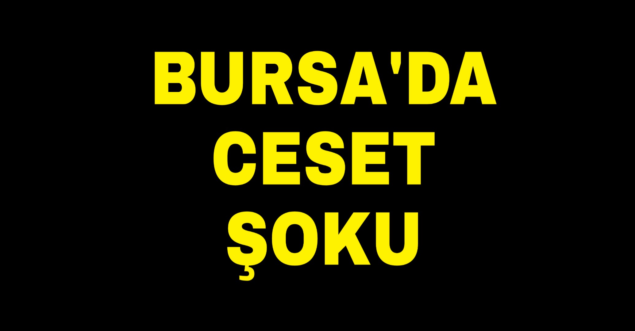 Bursa