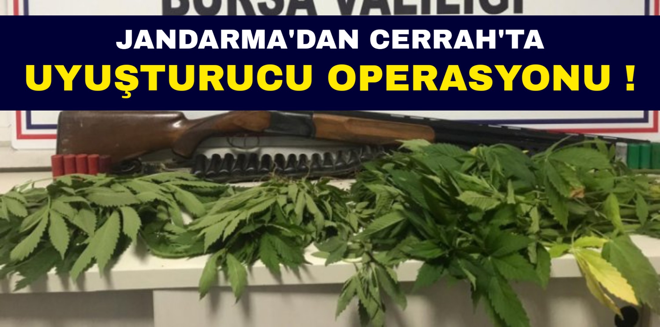 Jandarma