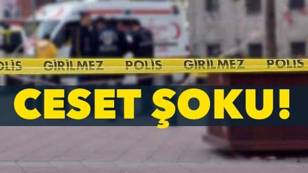Bursa