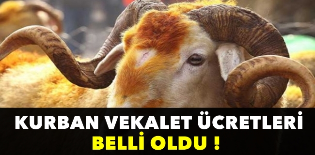 Kurban vekalet ücreti belli oldu