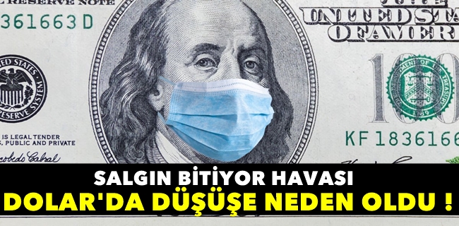 Dolar deyer kaybetmeye başladı !