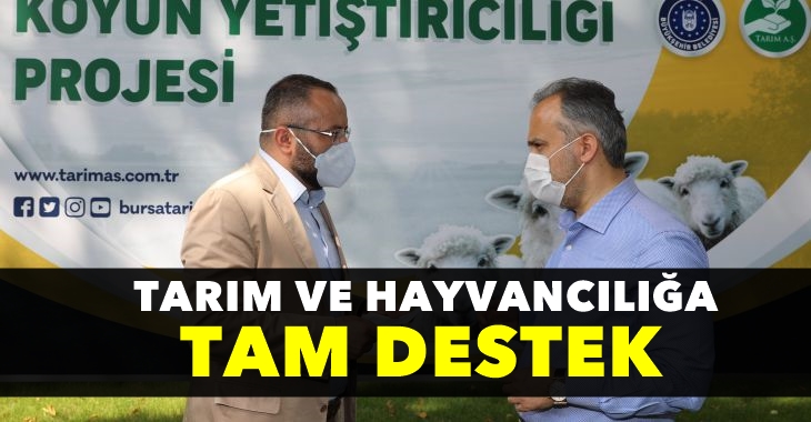 Büyükşehir’den hayvancılığa destek