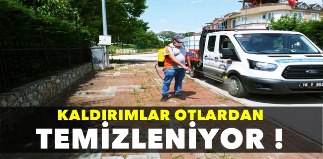 Kaldırımlar Otlardan Temizleniyor