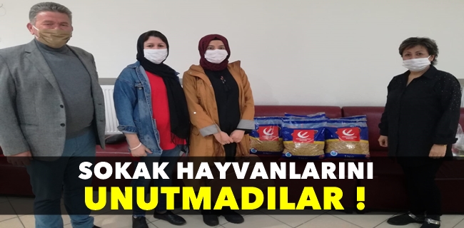 YENİDEN REFAHLI HANIMLAR SOKAK HAYVANLARINI UNUTMADI