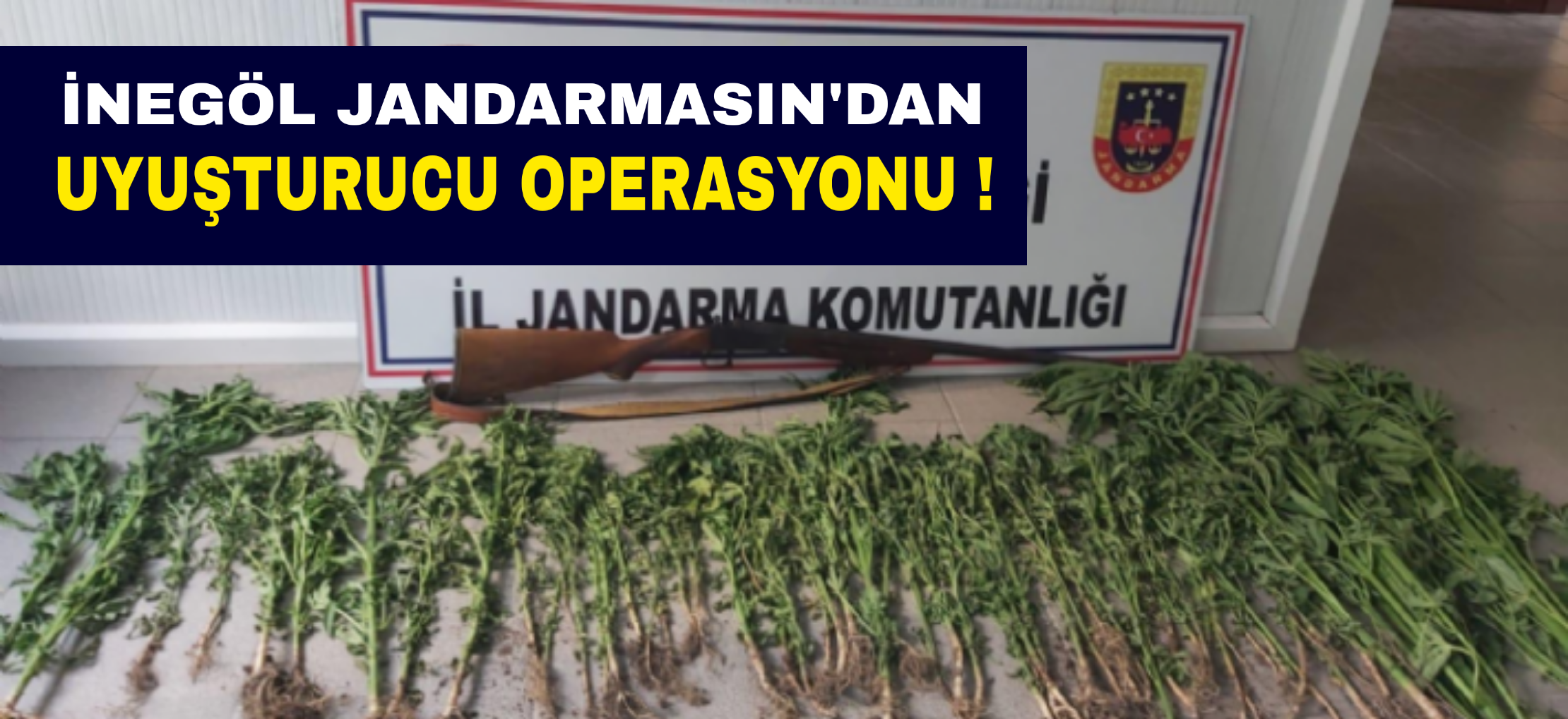 Jandarma