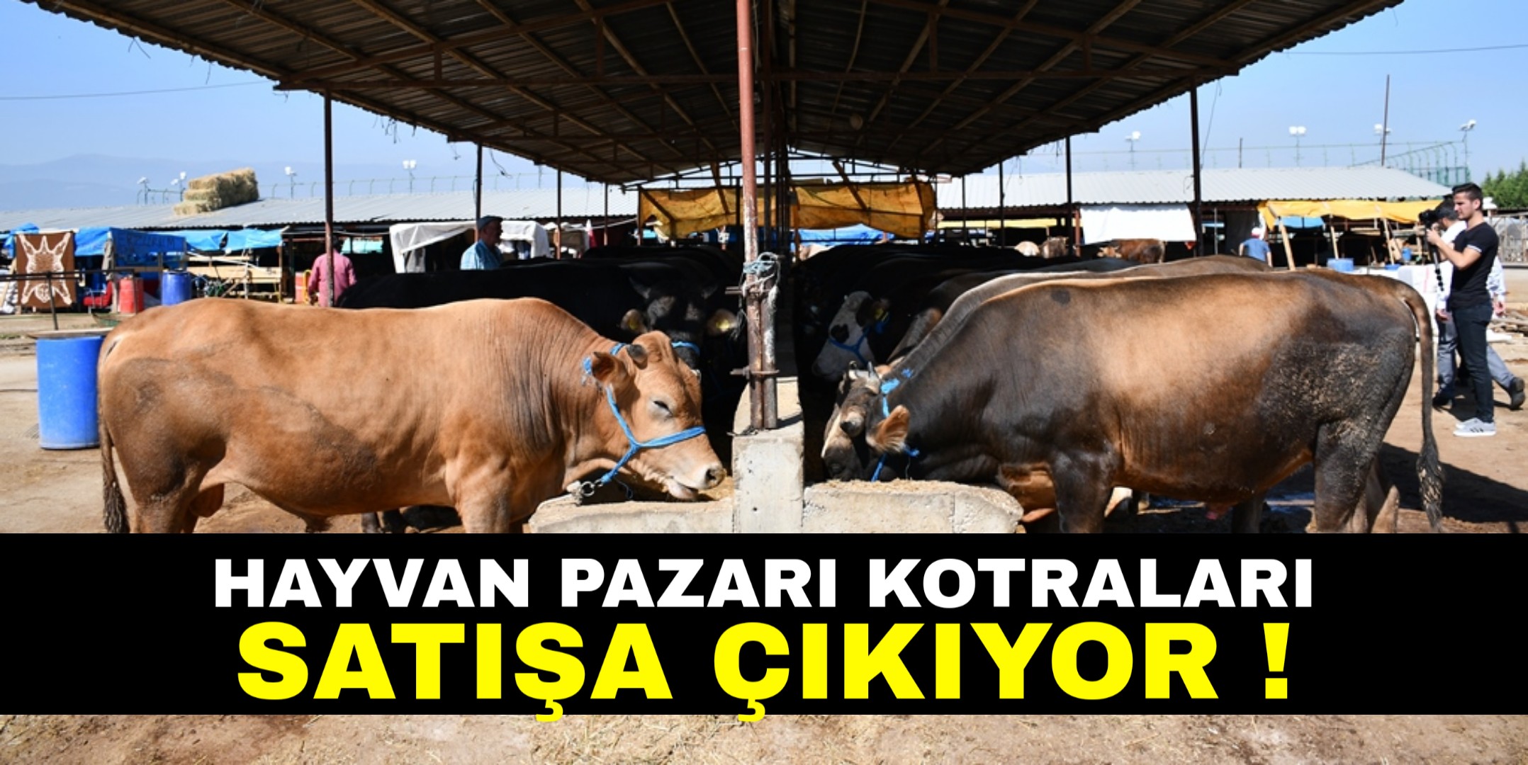 Hayvan Pazarı kotraları satışa çıkıyor !