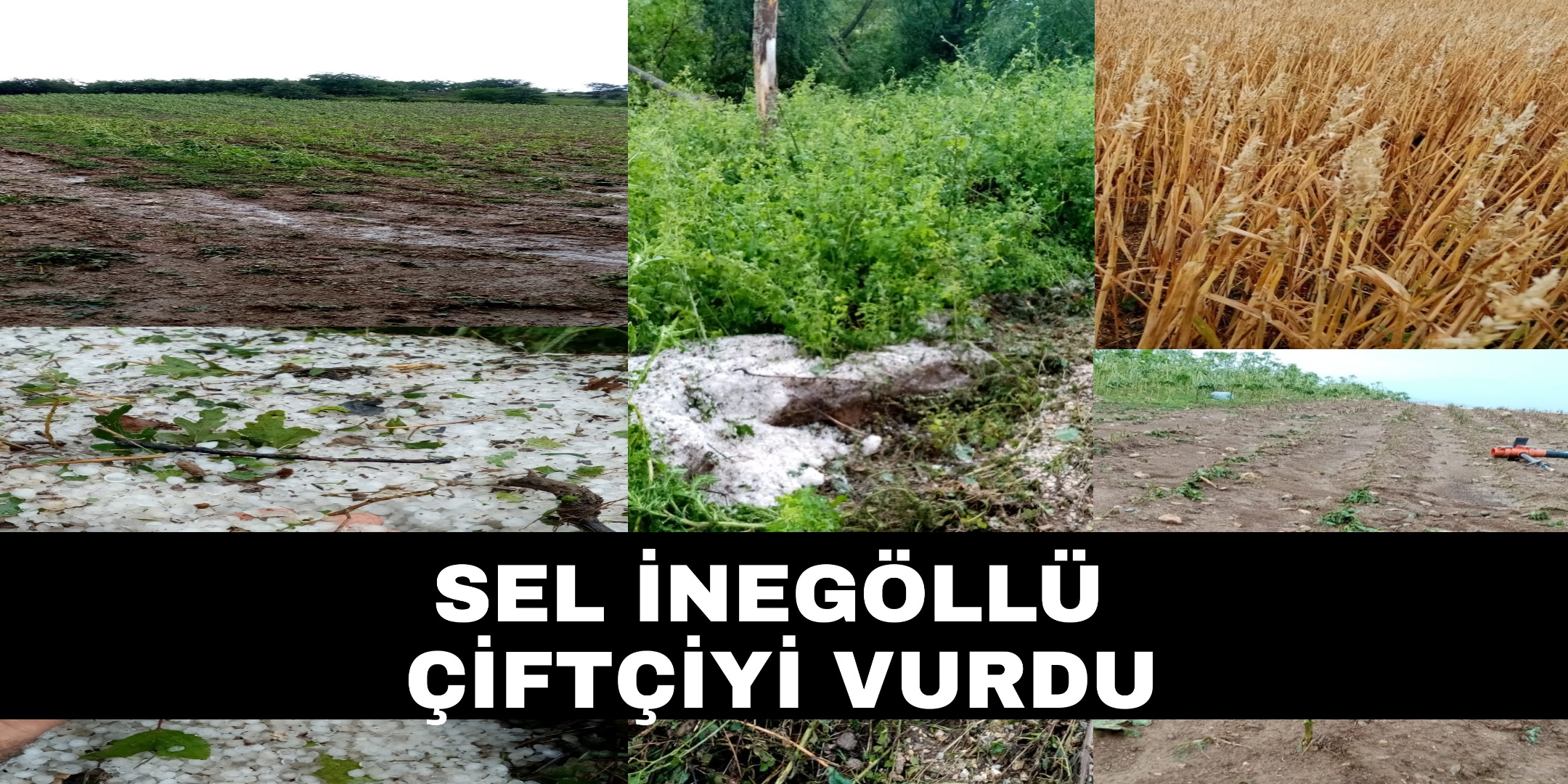 Sel İnegöl
