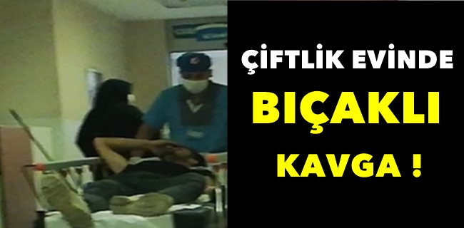 Çiftlik