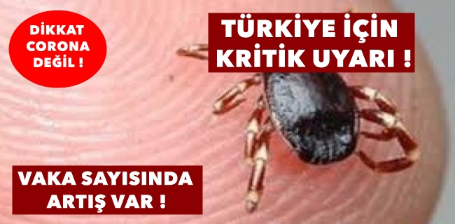 Kritik uyarı !