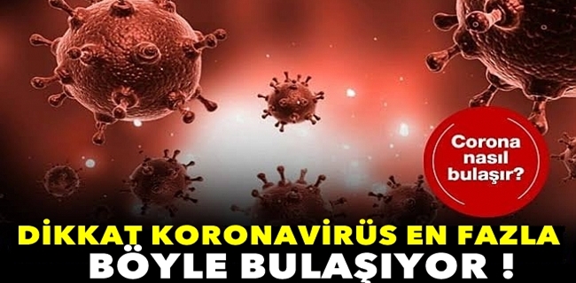 Koronavirüs İnsana Nasıl Bulaşır ?