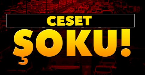 Bursa
