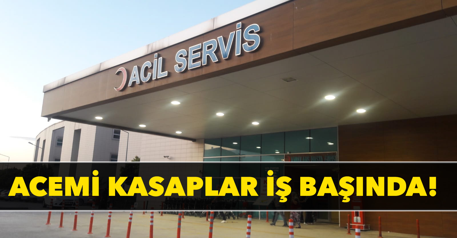 Acemi kasaplar iş başında