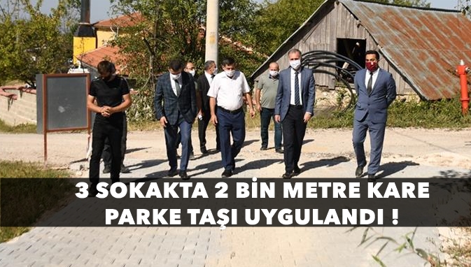 Çaylıca Mahallesi Sokakları Parke Taşla Kaplanıyor !