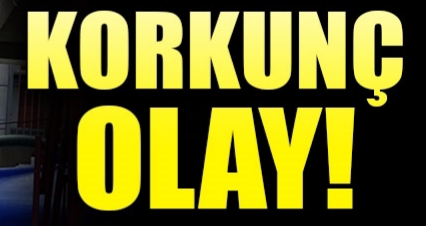 Bunun adı vahşet !
