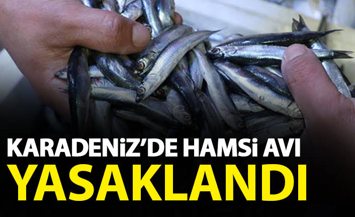 Sadece Marmara’da serbest