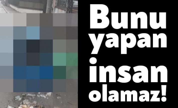 Bunu yapan insan olamaz !