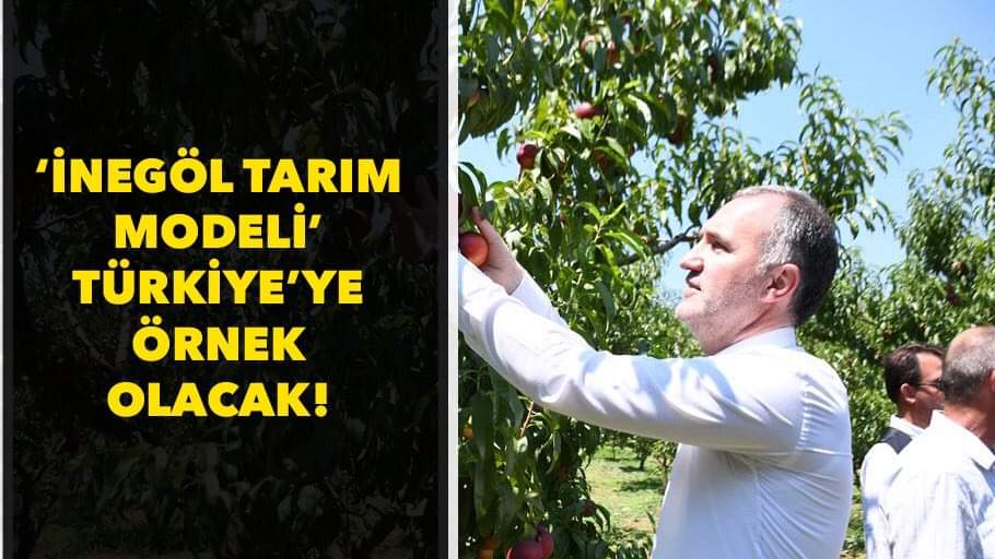 İnegöl Tarım modeli Türkiye