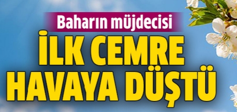 İlk cemre düştü !