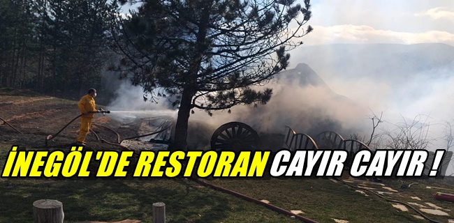 Restoran cayır cayır yandı !