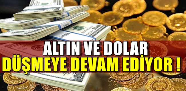Altın ve dolar düşmeye devam ediyor !