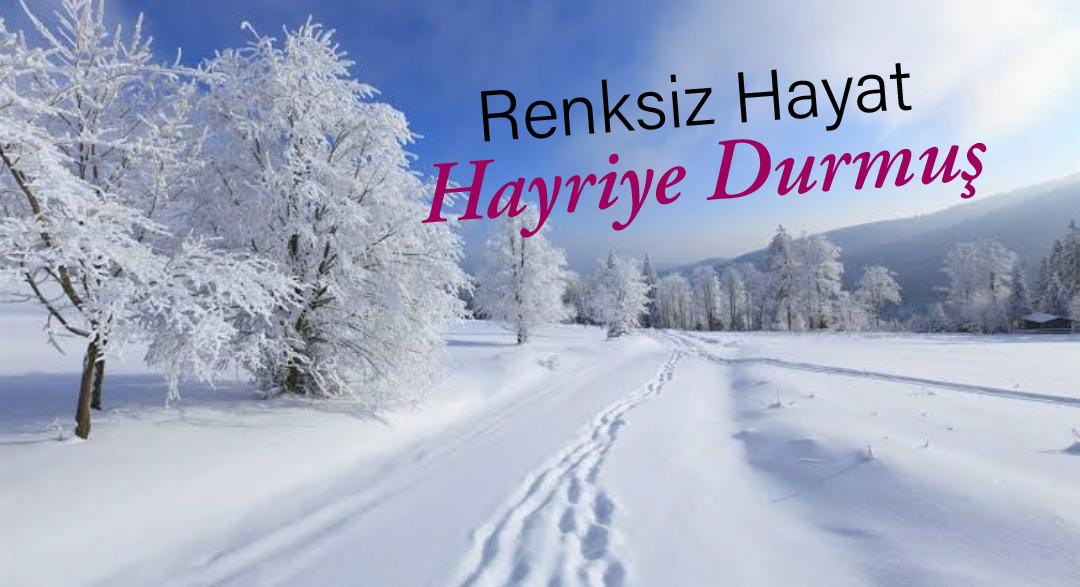 RENKSİZ BİR HAYAT