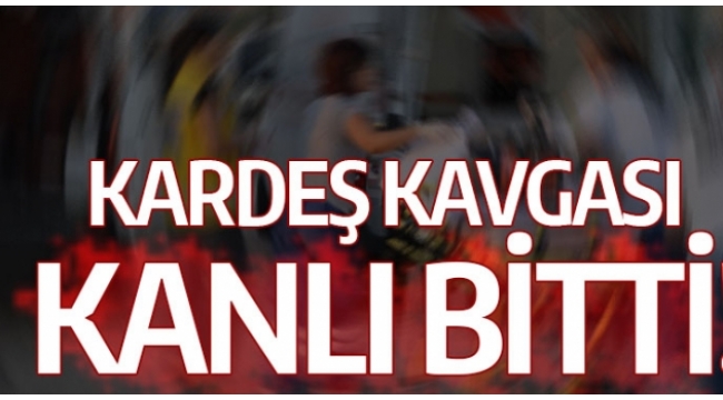 Kardeş kavgası kanlı bitti !