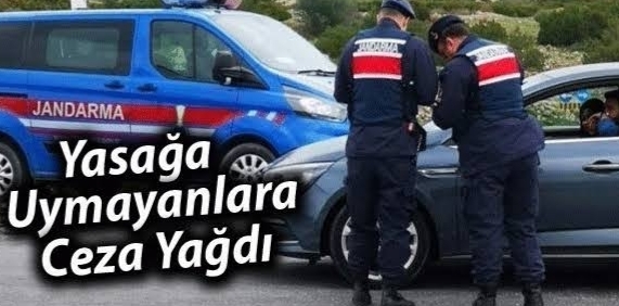 Yasağa uymayanlara ceza yağdı !