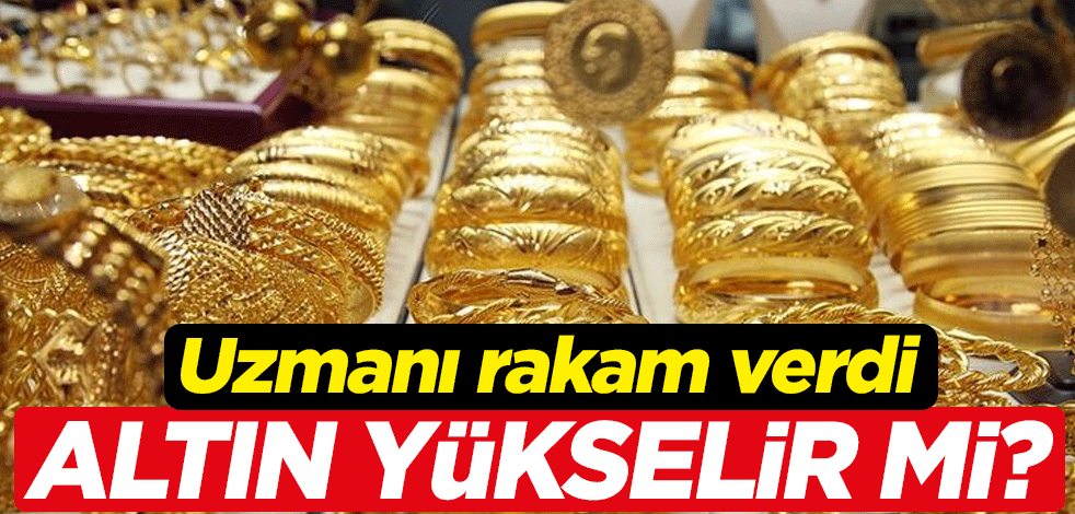 ALTIN YÜKSELİR Mİ?