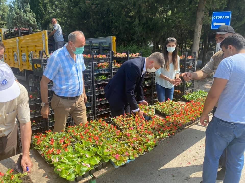 Mezarlık ziyaretçilerine ücretsiz çiçek !