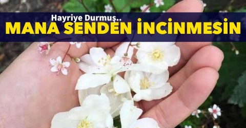 Mana senden incinmesin !