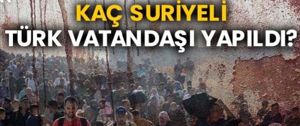 Her yer mülteci kaynıyor !
