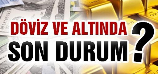 Döviz ve altın