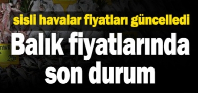FİYATLAR İKİ KATINA ÇIKTI