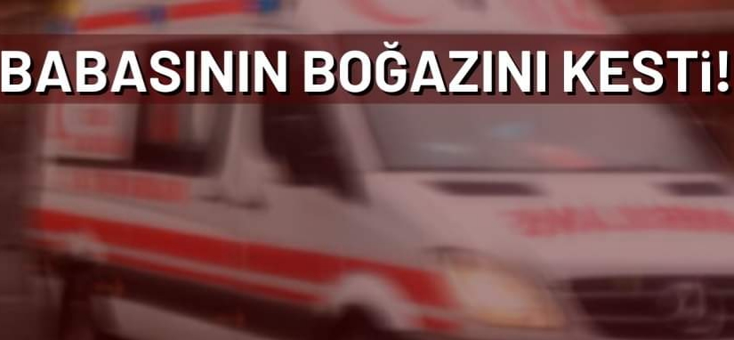 HAYIRSIZ EVLAT DEHŞET SAÇTI