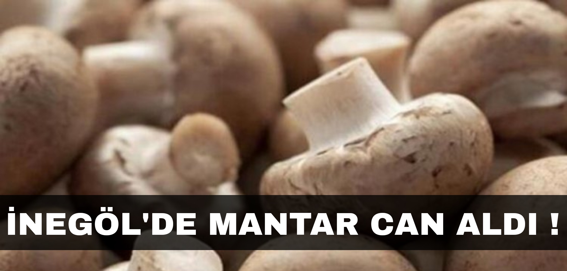 İNEGÖL’DE MANTAR CAN ALDI