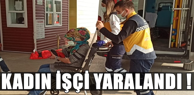 Kadın işçi yaralandı !