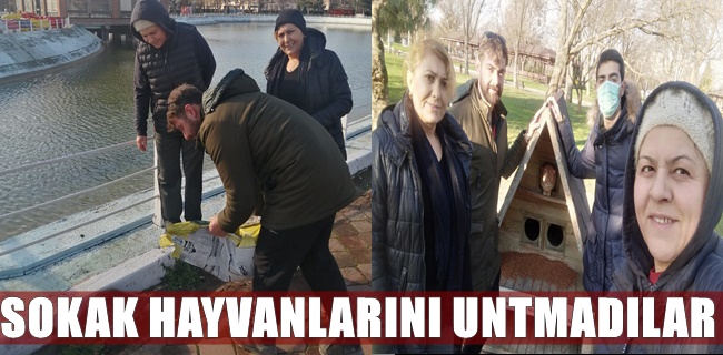CHP Gençlik Kolları sokak hayvanlarını unutmadı !