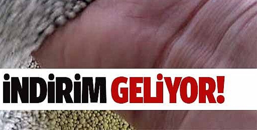 Yüzde 20 indirim geliyor !