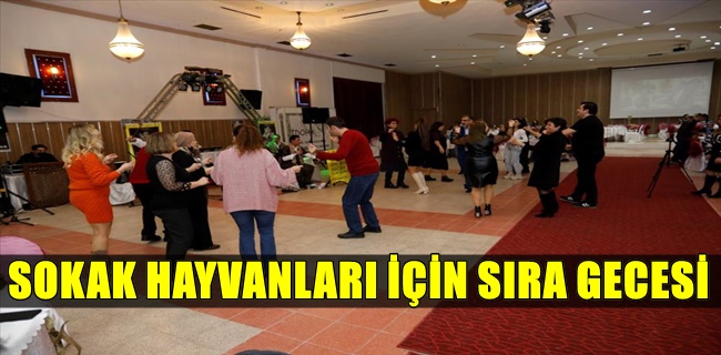 Sokak Hayvanları İçin Sıra Gecesi Düzenlendi !