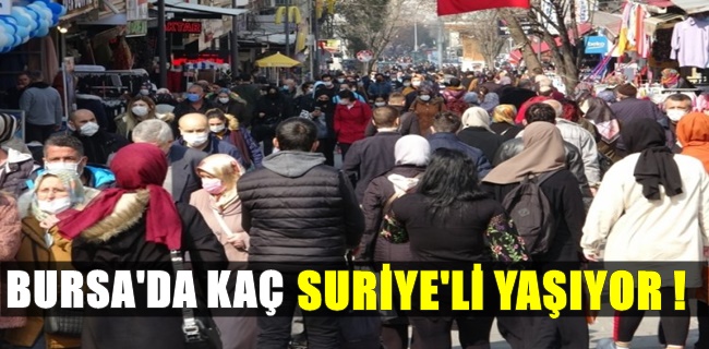 Bursa