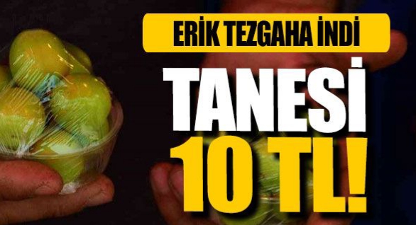 Eriğin tanesi 10 liradan satışa çıktı !