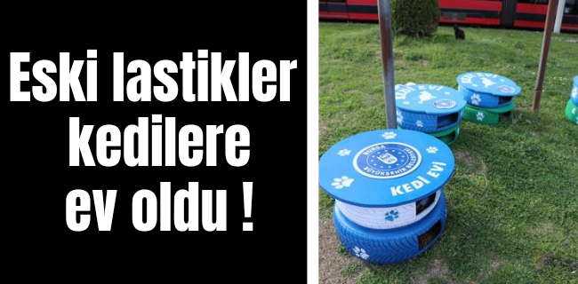 Eski lastikler kedilere ev oldu