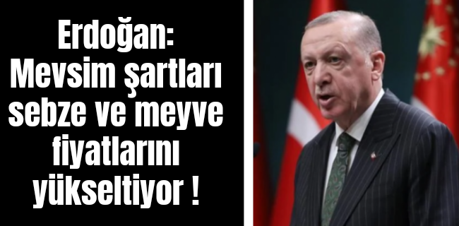 Erdoğan: Mevsim şartları sebze ve meyve fiyatlarını yükseltiyor.
